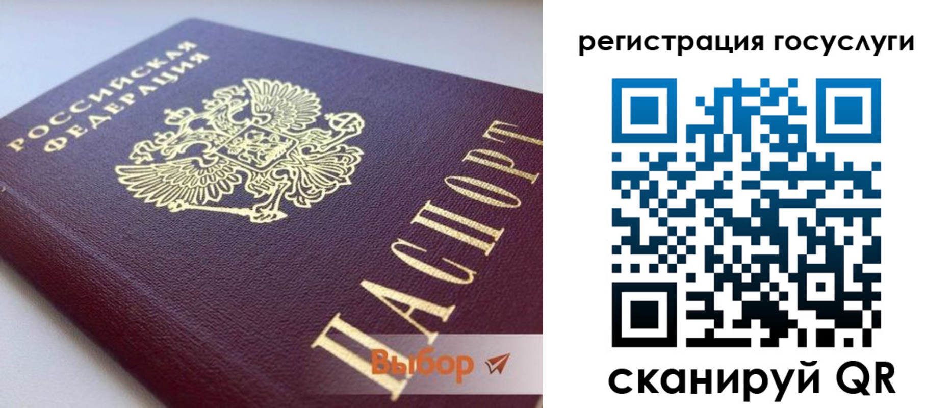 прописка в Курске