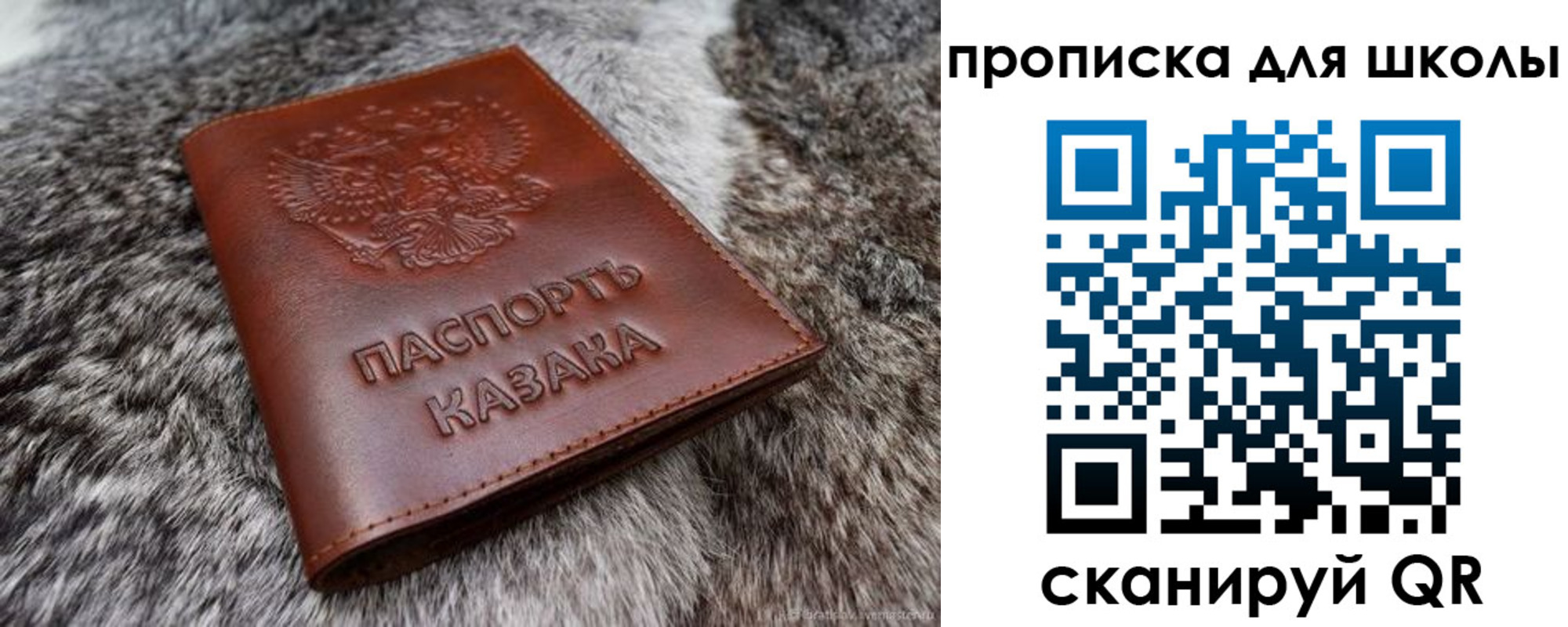 прописка законно в Курске